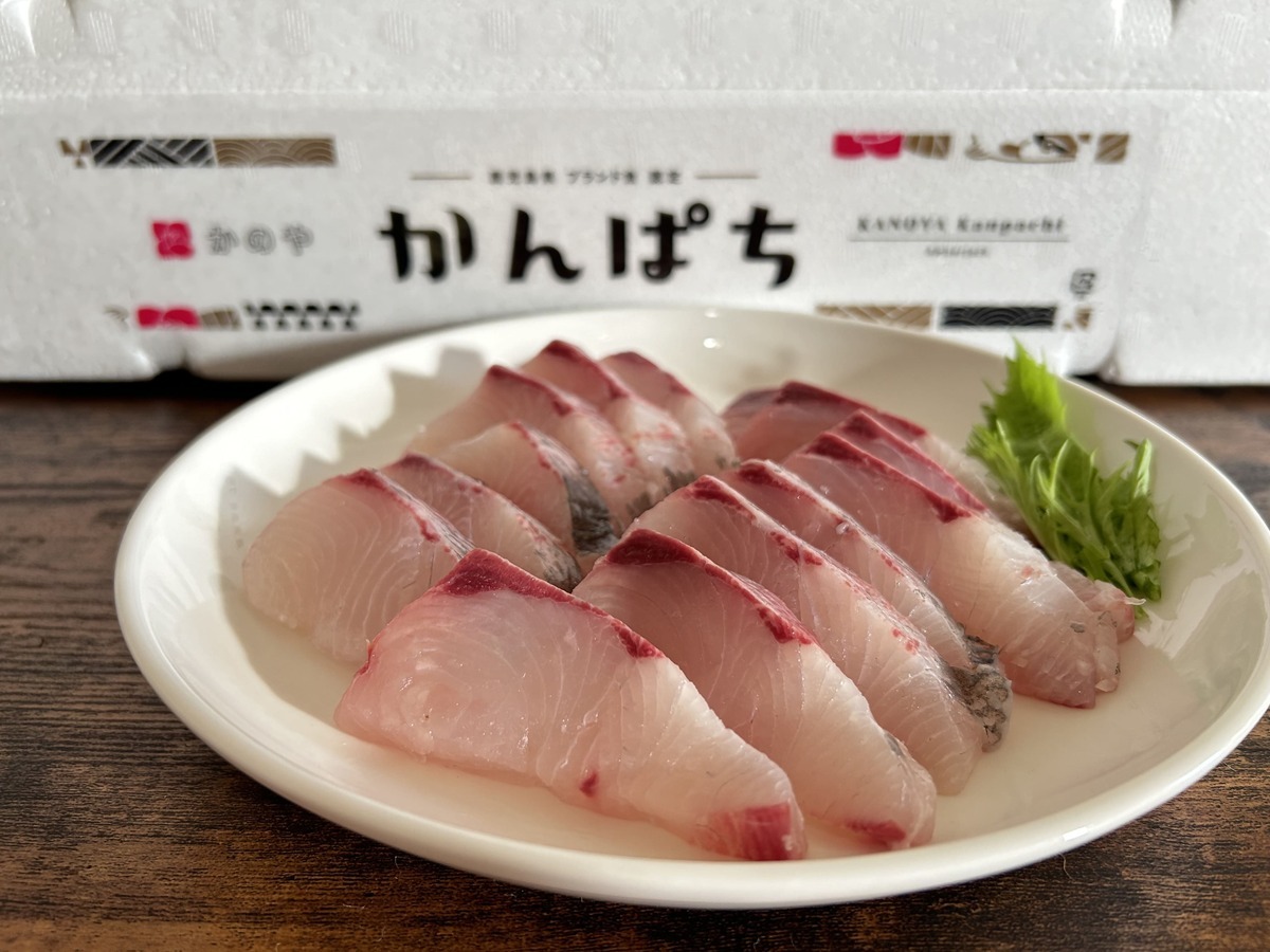 魚もうまい！「かのやカンパチ」の簡単レシピ！