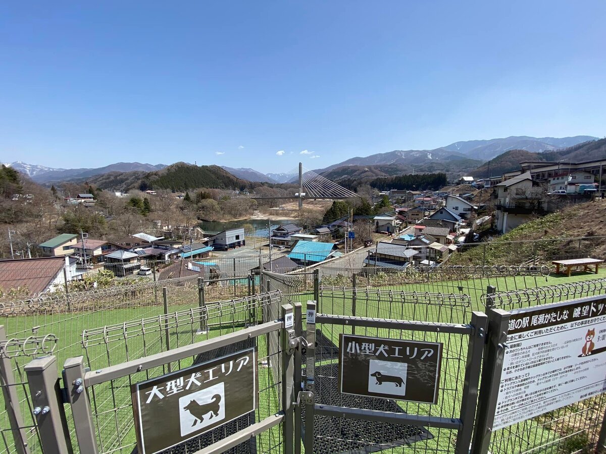 道の駅尾瀬かたしなで販売中です♪